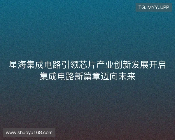 星海集成电路引领芯片产业创新发展开启集成电路新篇章迈向未来